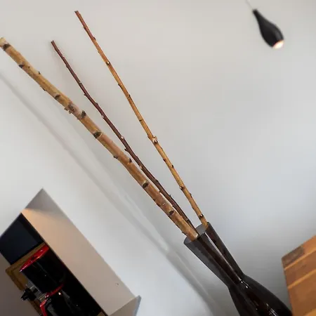 N 28 Bb *